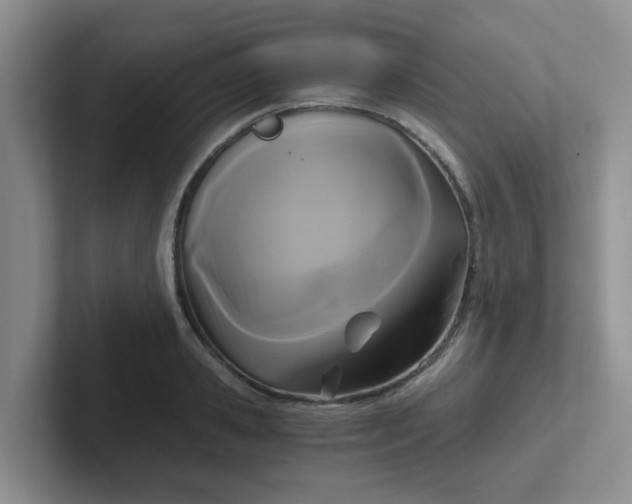 X0000102300941200808081541