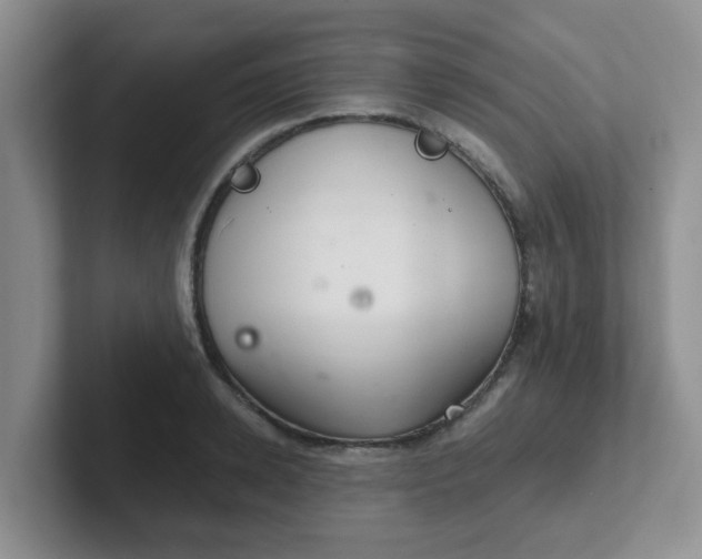 X0000102300942200808081541