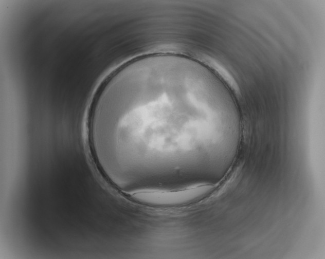 X0000102300944200808081541