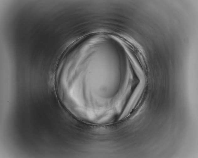 X0000102300945200808081541