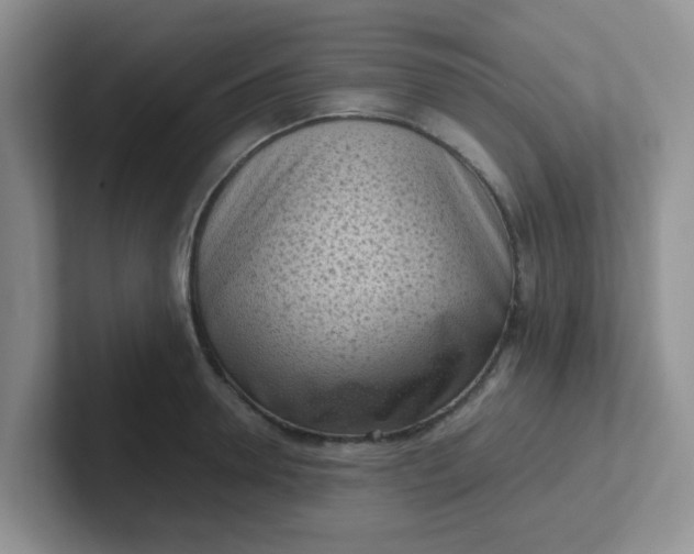 X0000102300946200808081541