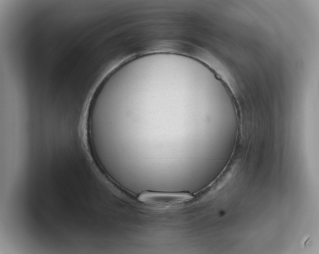 X0000102300949200808081541