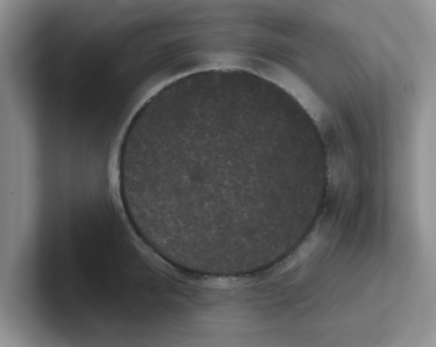 X0000102300950200808081541