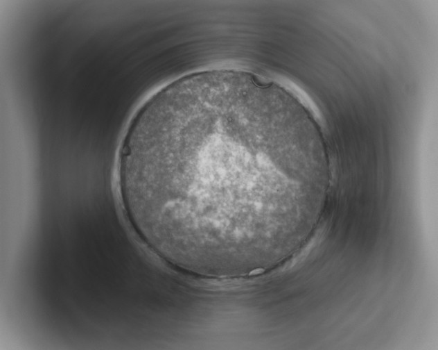 X0000102300952200808081541