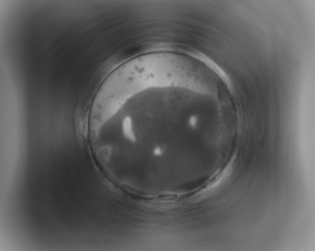 X0000102300953200808081541