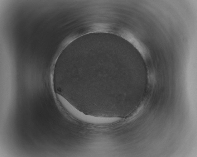 X0000102300954200808081542