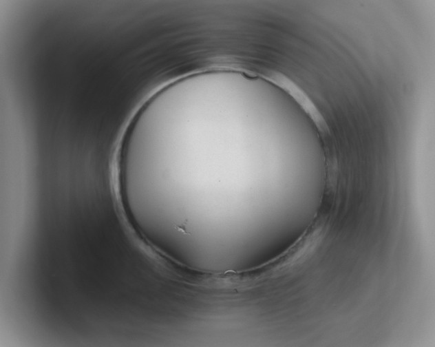 X0000102300955200808081542