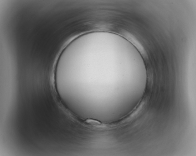 X0000102300956200808081542