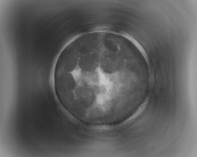 X0000102300957200808081542