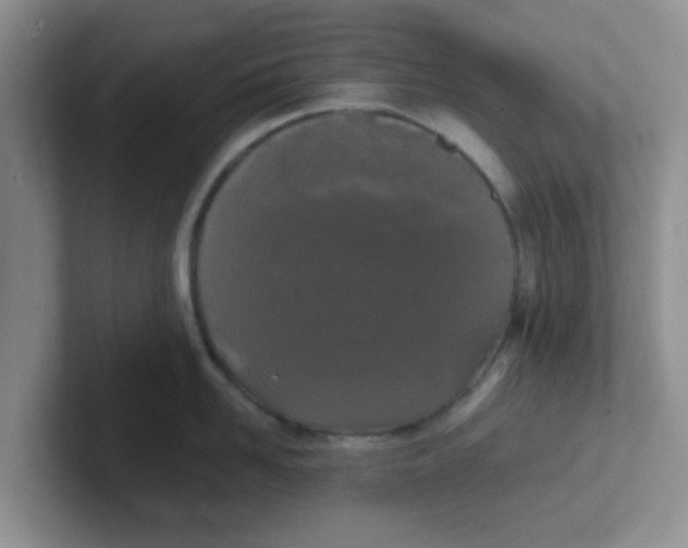 X0000102300958200808081542