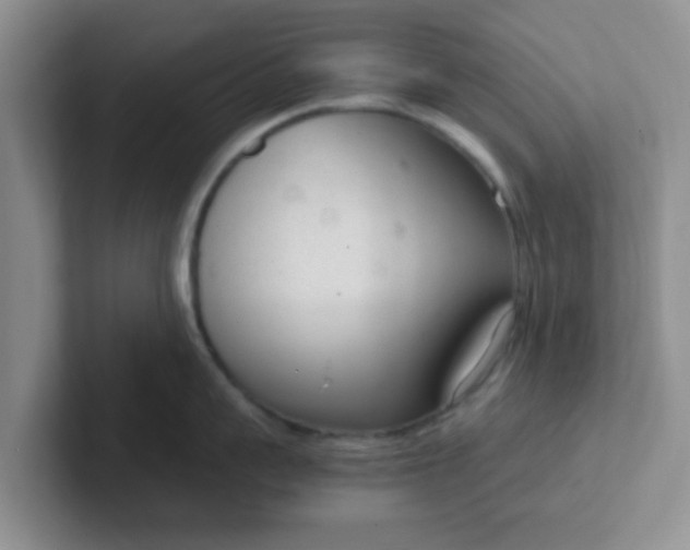 X0000102300959200808081542