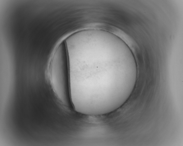 X0000102300960200808081542