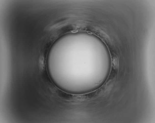 X0000102300963200808081541