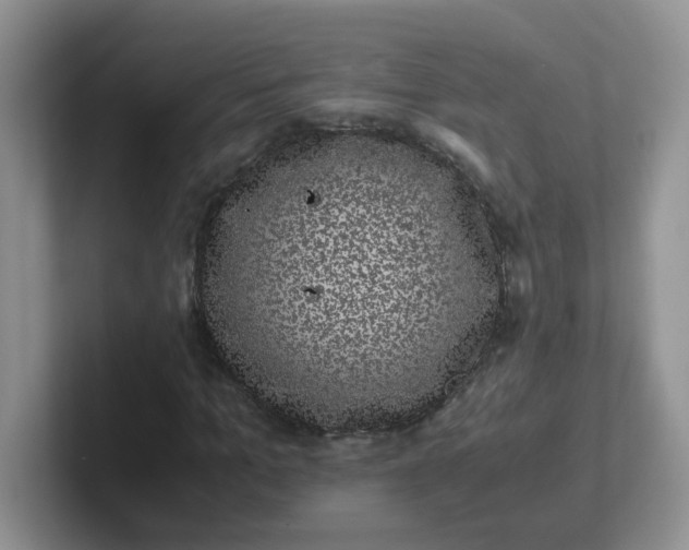 X0000102300965200808081541