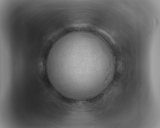 X0000102300966200808081541