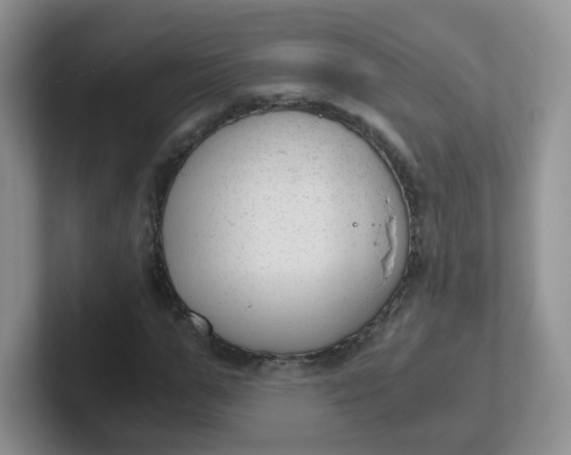 X0000102300967200808081541