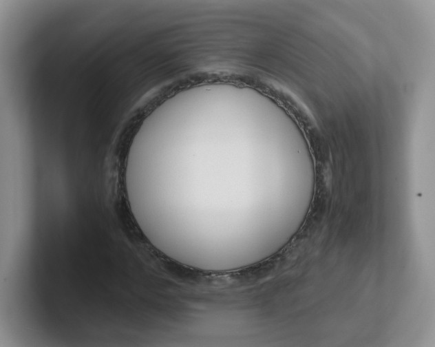 X0000102300968200808081541