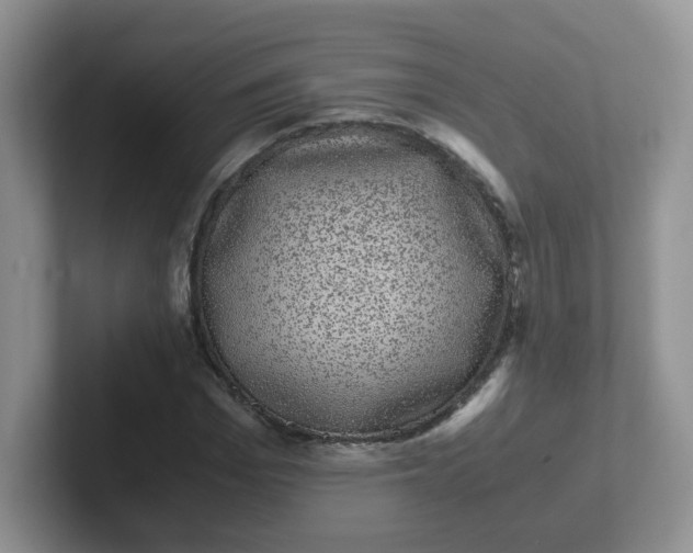 X0000102300969200808081541