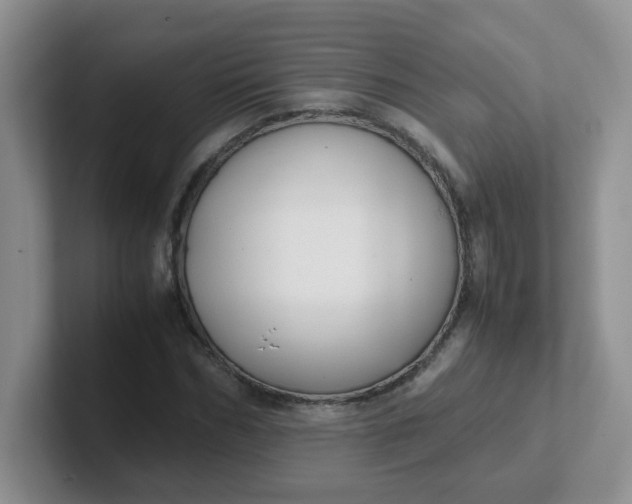 X0000102300970200808081541