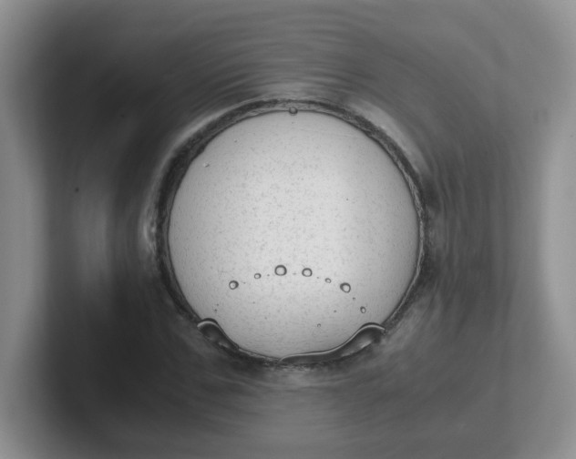 X0000102300971200808081541