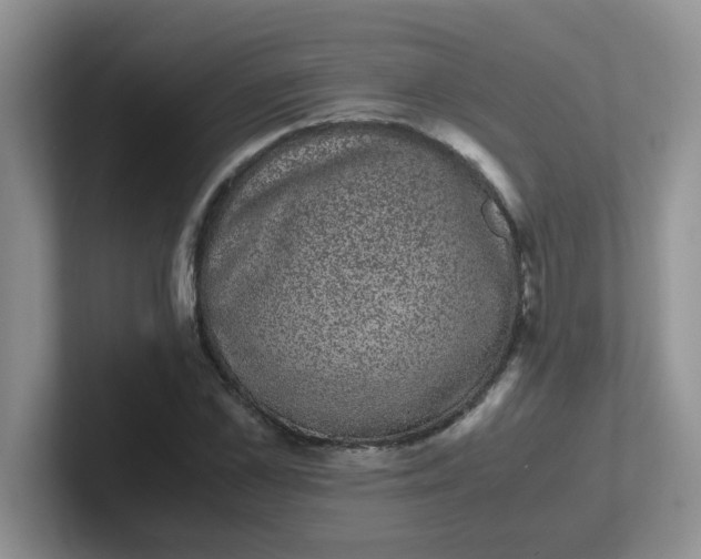 X0000102300973200808081541