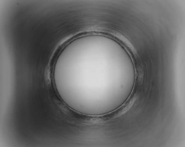 X0000102300974200808081541