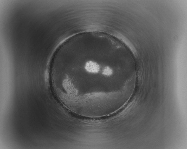 X0000102300975200808081541