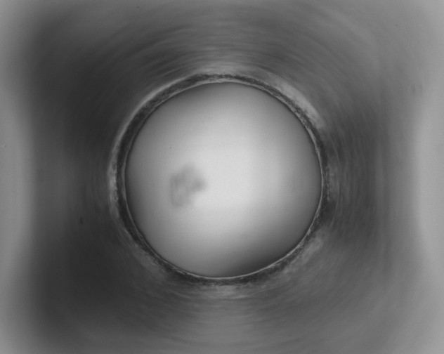 X0000102300976200808081541