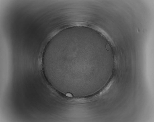 X0000102300977200808081541