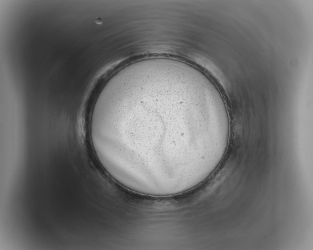 X0000102300979200808081541