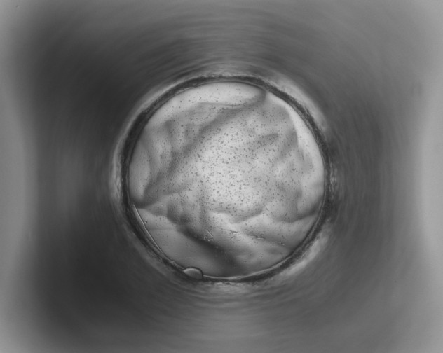 X0000102300981200808081541