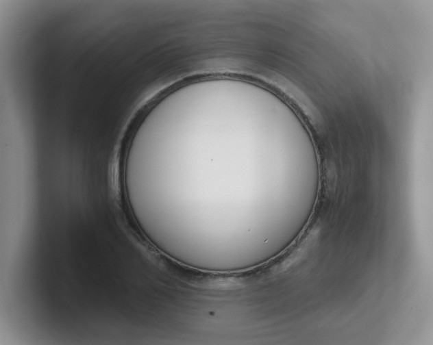 X0000102300982200808081541