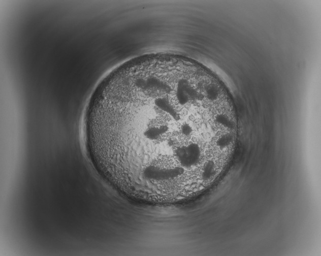 X0000102300983200808081541