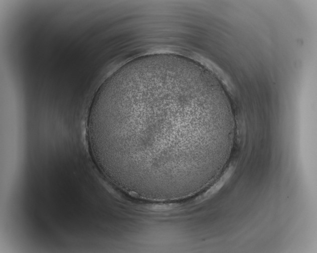 X0000102300985200808081541