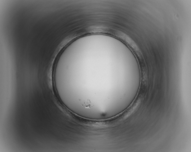 X0000102300986200808081541