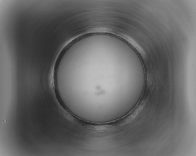 X0000102300988200808081541