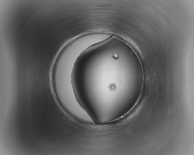 X0000102300989200808081541