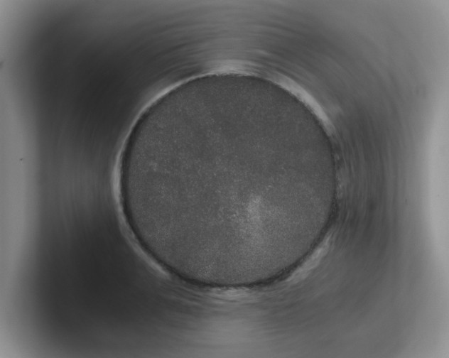 X0000102300991200808081541