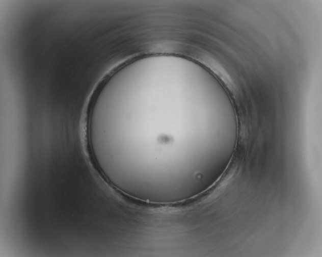 X0000102300992200808081541