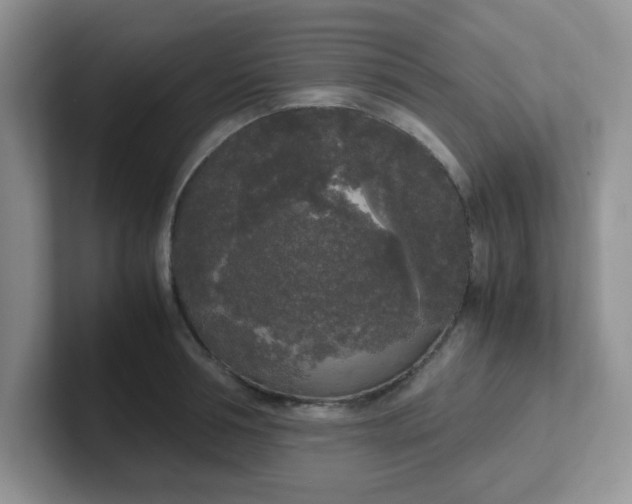 X0000102300994200808081540