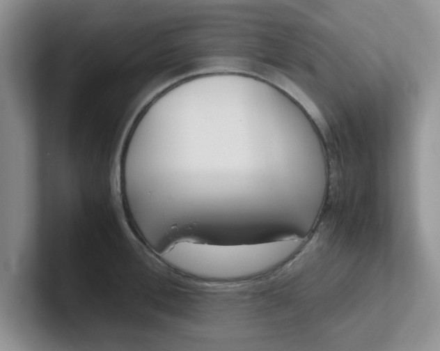 X0000102300996200808081540