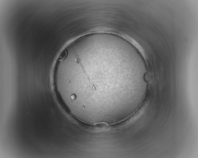 X0000102300997200808081540