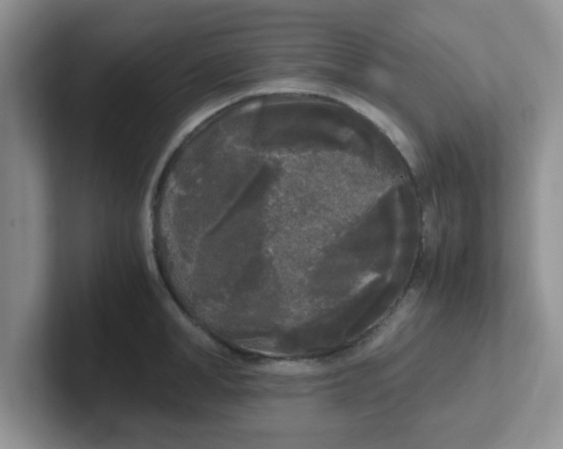 X0000102300998200808081540