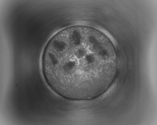 X0000102300999200808081540