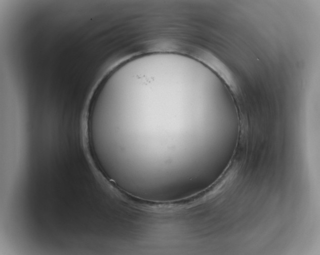 X0000102301000200808081540