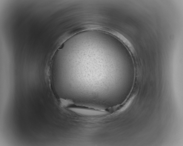 X0000102301001200808081540