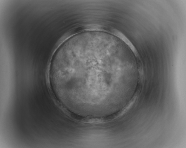 X0000102301002200808081540