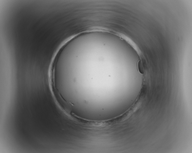 X0000102301003200808081540