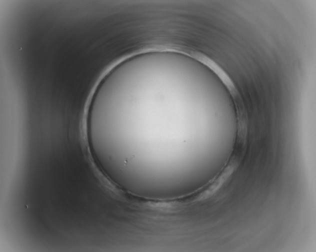 X0000102301004200808081540