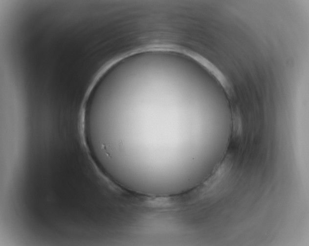 X0000102301006200808081540